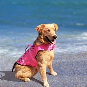 Dog life vest